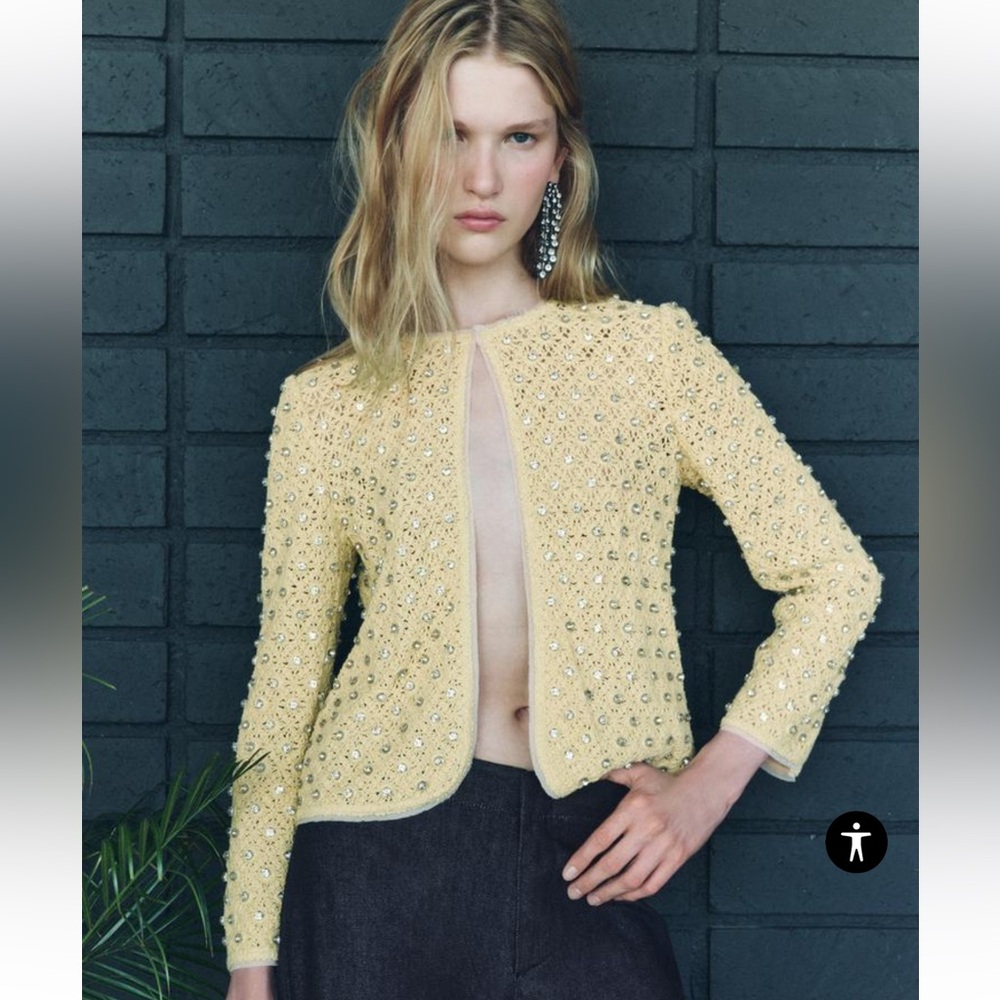 Zara CROCHET JEWEL CARDIGAN ZW COLLECTION
$159.00 Size XS/Small NWT
